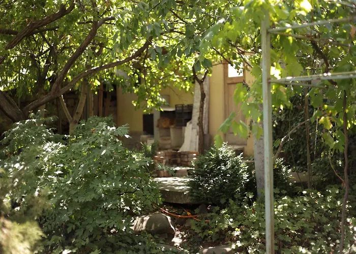 Minimax Holiday home